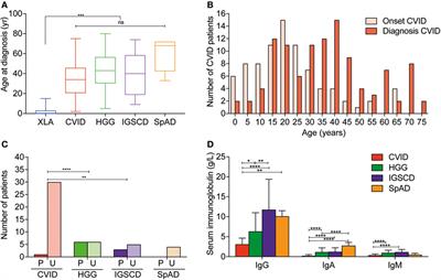 Delayed Diagnosis and Complications of Predominantly Antibody Deficiencies in a Cohort of Australian Adults